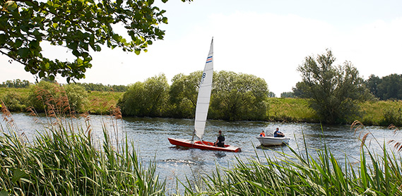 Les lacs Maasplassen