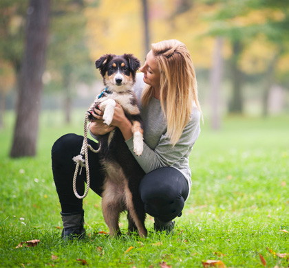 Met uw hond | Honden zijn van harte welkom bij Parc Maasresidence Thorn en kunnen zich heerlijk uitleven in de natuurrijke omgeving.