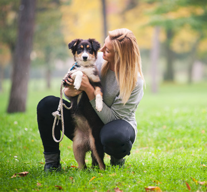 En vacances avec votre chien | Bien sûr, votre compagnon à quatre pattes peut partir en vacances avec vous ! Les chiens sont les bienvenus au Parc Maasresidence Thorn et ils peuvent s'amuser dans la nature. 