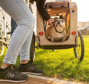 Fiets en scootertochten