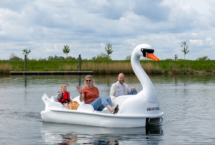 Pedal Boat Rental 