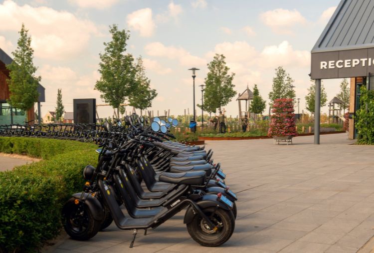 Bike, e-bike or e-chopper rental