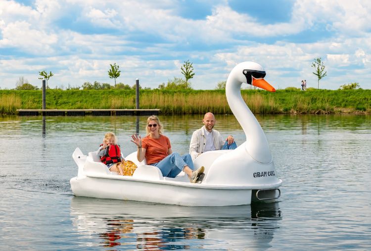 Pedal Boat Rental 